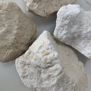 May include: Close-up of several white and beige rocks with rough, uneven surfaces. The rocks are arranged in a cluster on a light gray background.