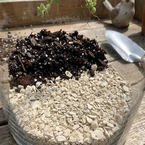 May include: A clear glass terrarium bowl containing a layer of dark brown potting soil and a layer of light beige crushed stone. A small metal garden trowel rests inside the bowl, and a small ceramic bird figurine sits nearby.