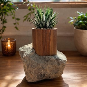 May include: A green and white succulent plant in a wooden planter, set on a gray stone. The wooden planter has a cylindrical shape and is filled with small pebbles. The stone sits on a wooden surface, with a candle in a glass jar in the background.