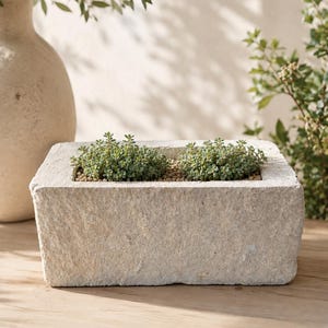 May include: A rectangular planter made of rough-hewn, light beige stone with a natural, textured surface. The planter contains two small, green succulent plants nestled in a bed of tiny, light brown pebbles, creating a simple, organic display.