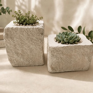 May include: Two square planters crafted from rough-hewn, light beige stone. The taller planter holds a small green plant, while the shorter, wider planter contains a green succulent. Both planters feature a circular opening at the top.