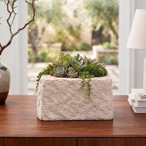 May include: A rectangular planter made of light beige, rough-hewn stone filled with a variety of green succulents, including rosette-shaped echeveria and trailing string of pearls, creating a dense, textured arrangement of diverse plant life.