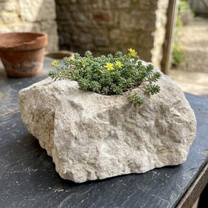 Customized Limestone Planters