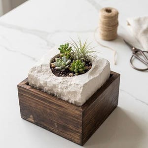 May include: A square, dark-stained wooden planter box holds a natural stone container with succulents. The stone has a carved-out area for the plants. A roll of twine, scissors, and a linen cloth are nearby, suggesting a gardening theme.