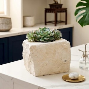 Natural Limestone Planter: Handcrafted Organic Stone Pot