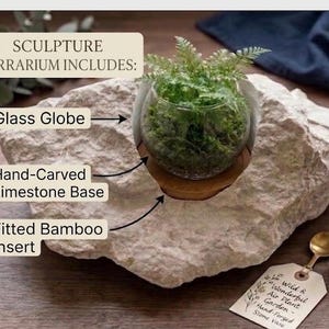May include: A terrarium sculpture featuring a glass globe filled with greenery, set on a hand-carved limestone base and a fitted bamboo insert. The sculpture includes a small glass bottle, a spoon, and a tag with text.