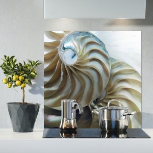 May include: A kitchen backsplash featuring a nautilus shell design in shades of beige and brown. A silver pot and a silver coffee maker are on a black hob.