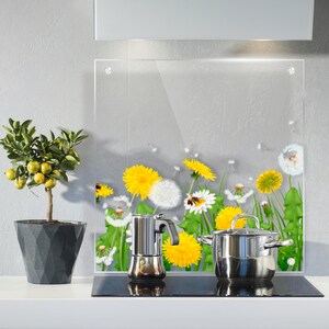 Könnte beinhalten: Eine transparente Küchenrückwand aus Glas mit einem floralen Design aus gelben Löwenzahnpflanzen und weißen Samenköpfen. Ein Edelstahl-Topf und eine Espressomaschine stehen auf einem schwarzen Kochfeld. Ein Topf mit einem Zitronenbaum steht links.
