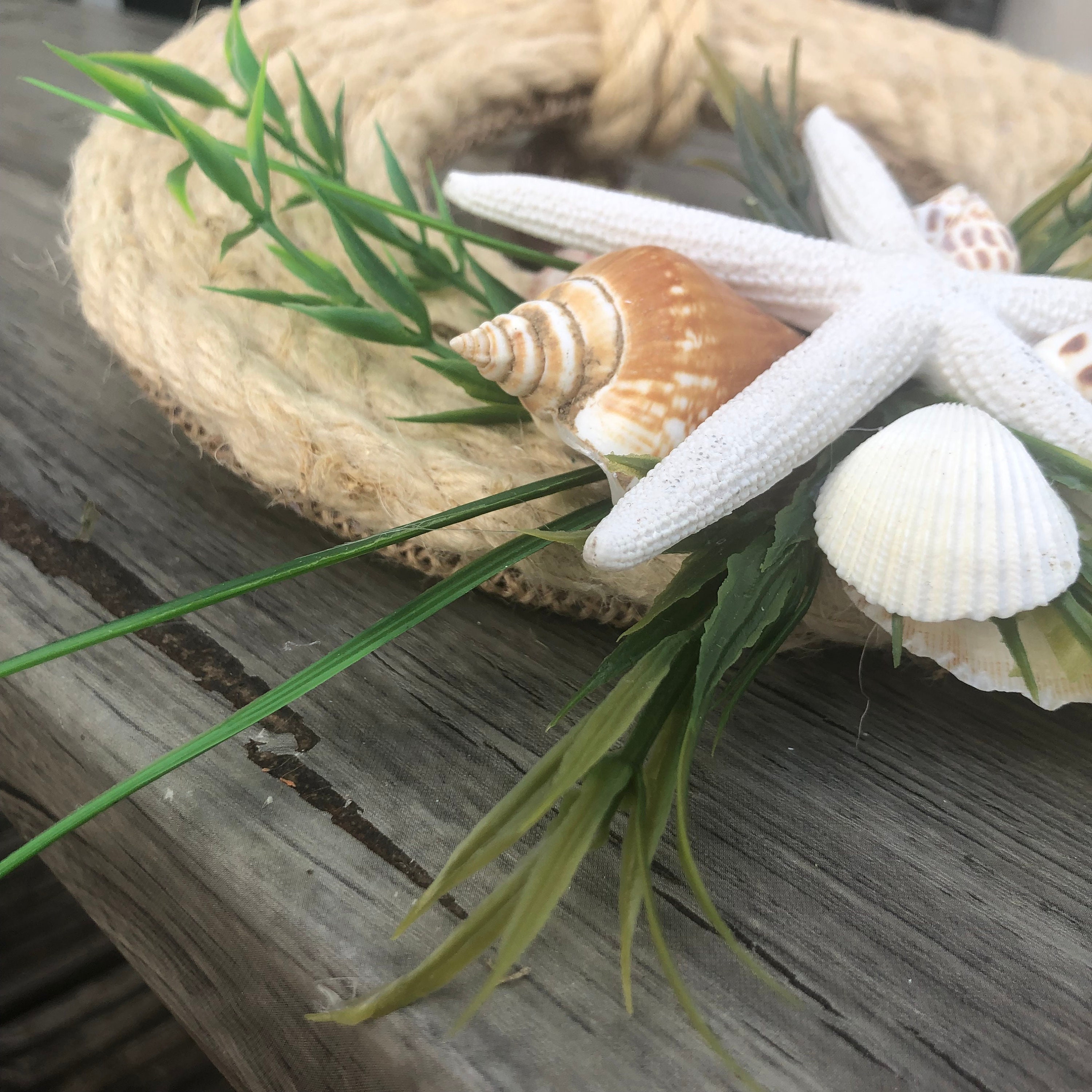 Coastal Rope Wreath With Seashells and Starfish for Front Door Etsy