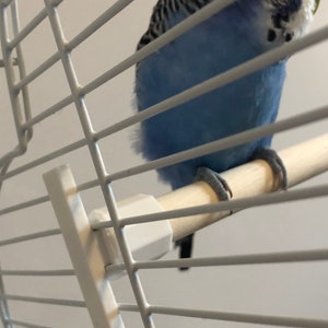 Bird Perch (2 Perches) Bird Cage Perches (Untreated Natural Wooden Perches) Twist Fit 15mm in diameter