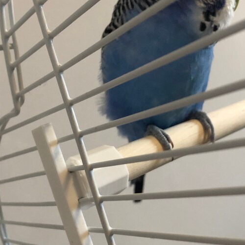 Bird Perch 2 Perches Bird Cage Perches untreated Natural Etsy