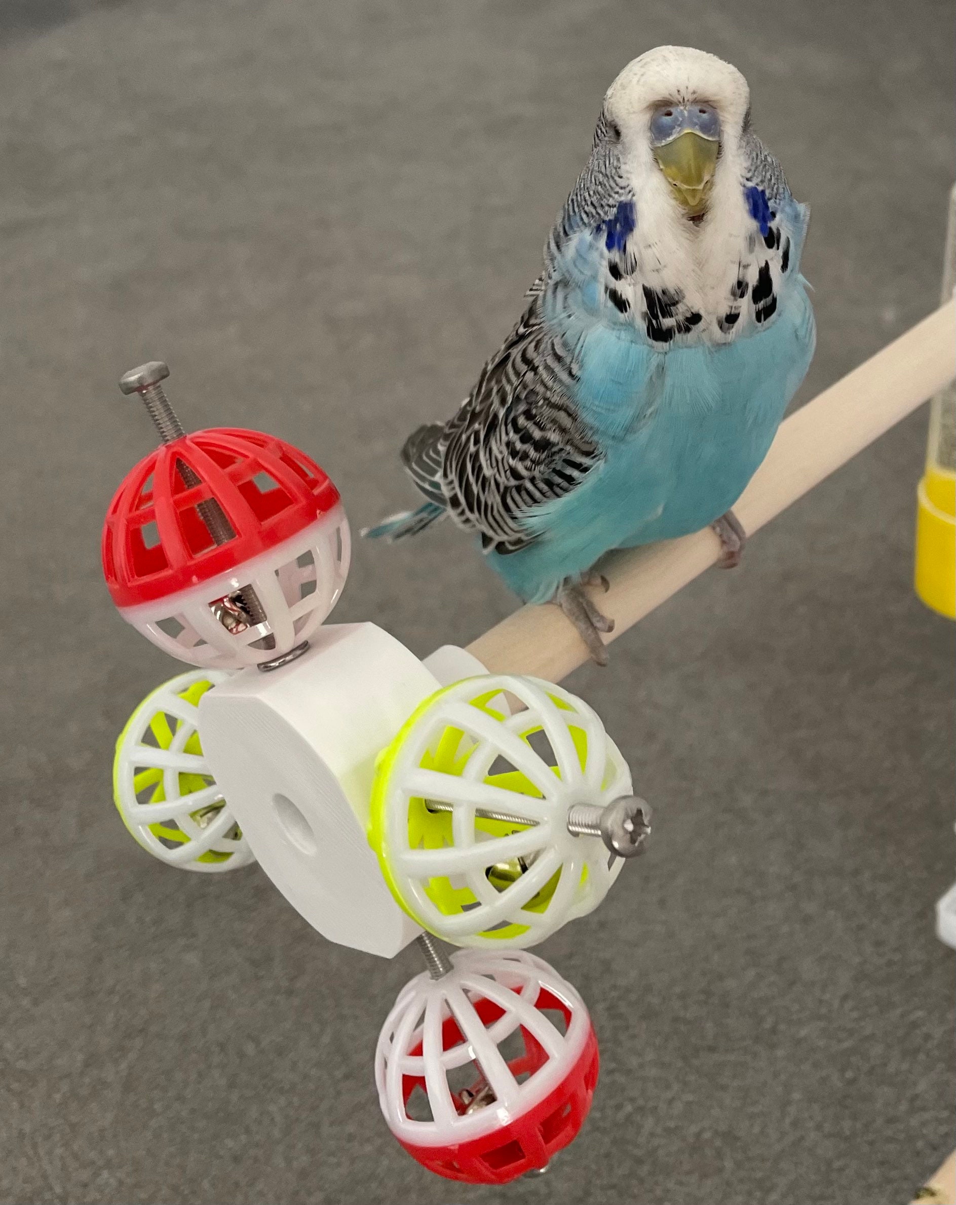 Toys for budgies diy top
