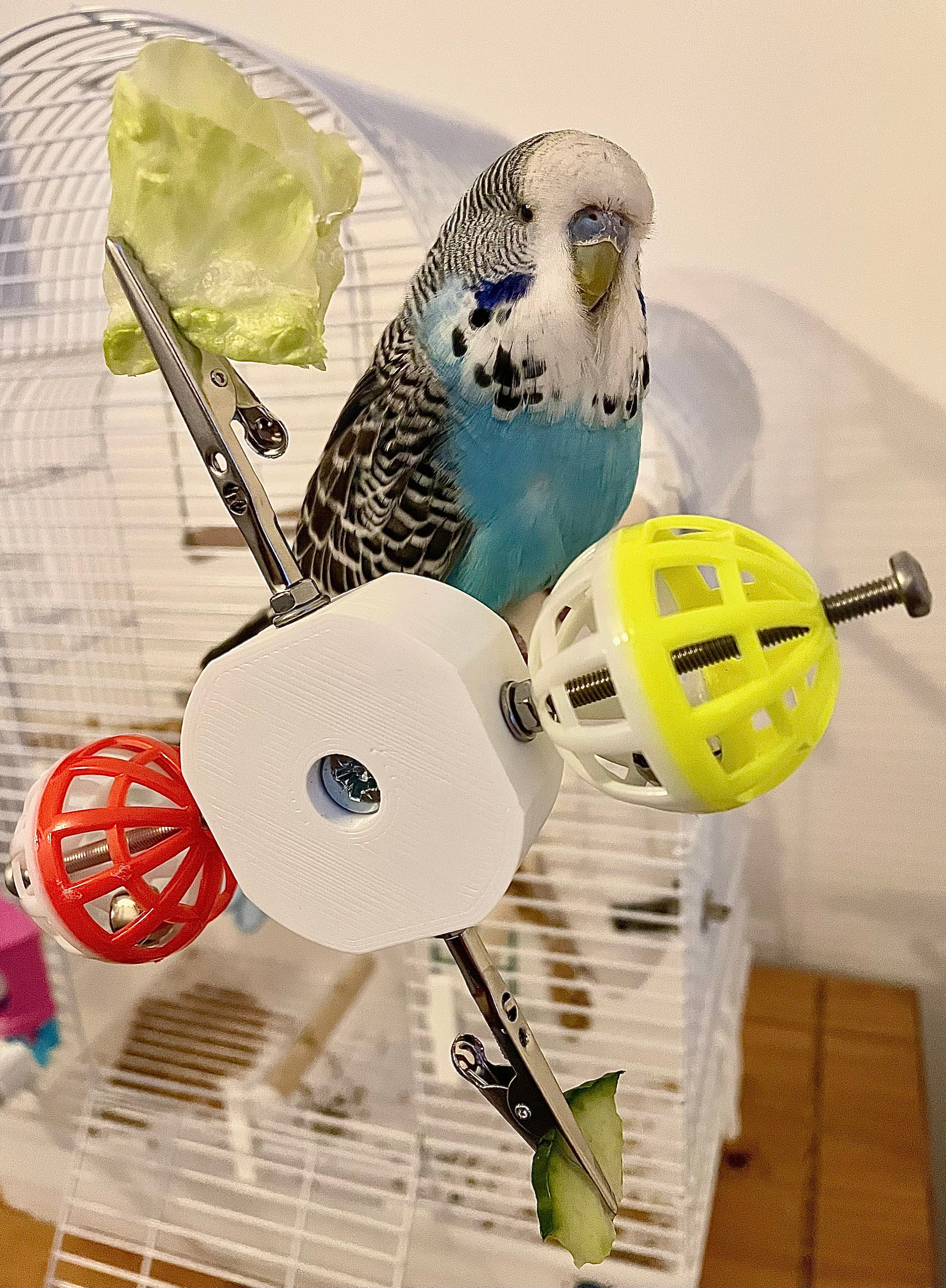 回転ボールとフードクランプ付きの鳥用止まり木おもちゃ。セキセイ