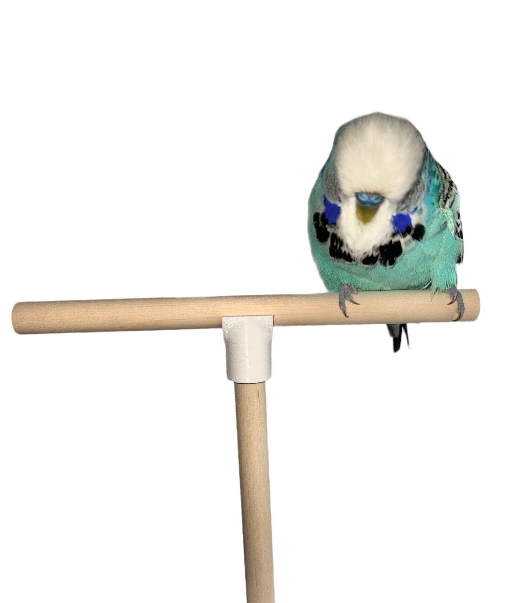 木製 鳥用スタンド ツリー型*5 Amazon.co.jp: オウム止まり木スタンド,木製のオウムの遊び場