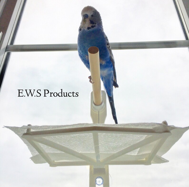 Window Bird Perch Sticks to Most Surfaces and Has Droppings Etsy