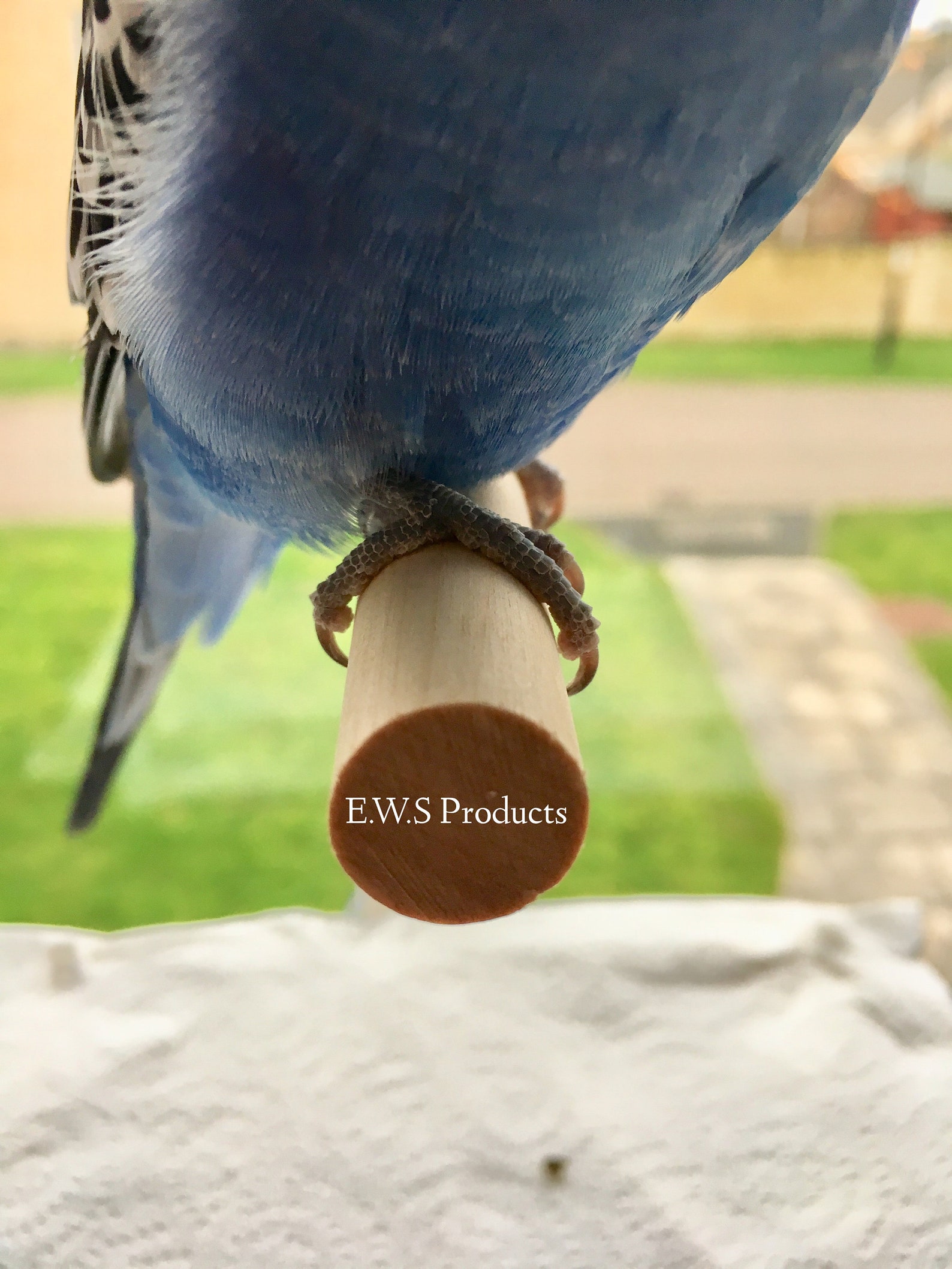 Window Bird Perch Sticks to Most Surfaces and Has Droppings Etsy