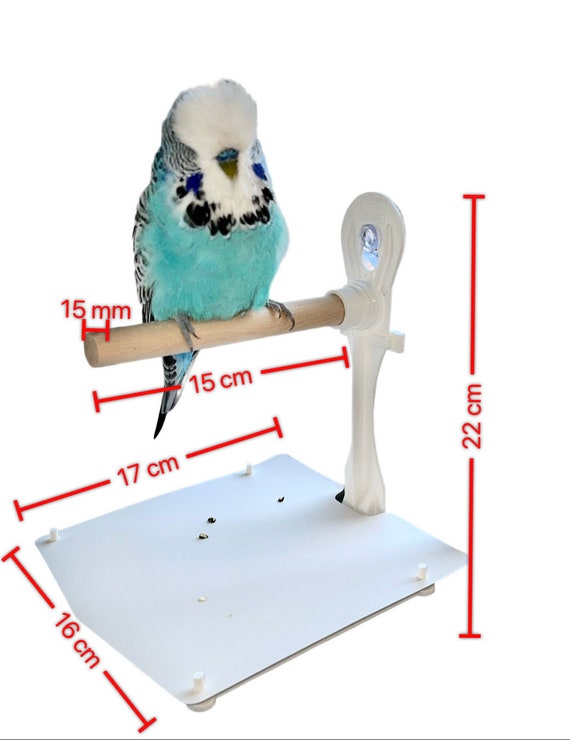 Stick on Portable Bird Perch Which Has Droppings Tray and Removable Cover,  Window Bird Perch / Shower Bird Perch for Small Medium Birds. 