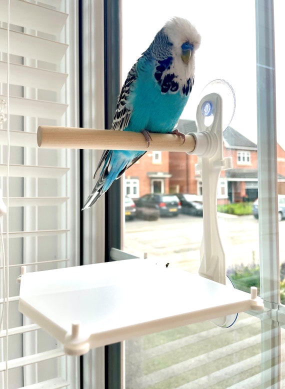 Percha Para Pájaros Con Bandeja Recogedor - Ventosa Para Ventana, Periquito, Cacatúa Y Loro Pequeño (Madera De Abedul)