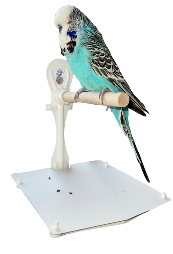 Stick on Portable Bird Perch Which Has Droppings Tray and Removable Cover,  Window Bird Perch / Shower Bird Perch for Small Medium Birds. 