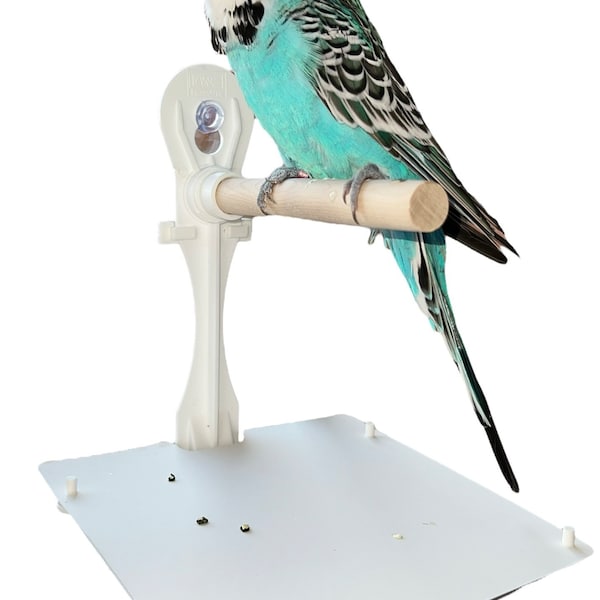 Stick On Portable Bird Perch Which Has Droppings Tray And Removable Cover, Window bird Perch / Shower Bird Perch For Small - medium birds.