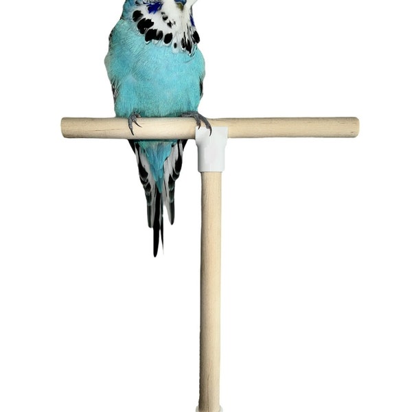 Bird Perch T Shape Stand. Wooden Bird Cage Perch Attachment Toy. Screw Fit Cage Perch Accessory