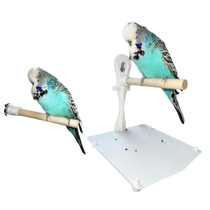Bird Perch 2Pc Bundle Pack. Includes Stick On Window Shower Bird Perch With Droppings Tray + Screw Fit Bird Cage Perch. Small - Medium Birds