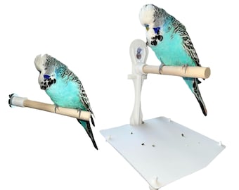 Bird Perch 2Pc Bundle Pack. Includes Stick On Window Shower Bird Perch With Droppings Tray + Screw Fit Bird Cage Perch. Small - Medium Birds