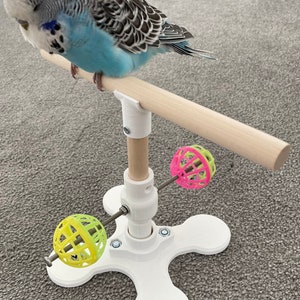 Bird Toy Bird Perch Rotating Stand/Toy. Spinning Floor Stand Toy. Perfect Bird Toy For Budgies, Cocktails (Small - Medium Birds)