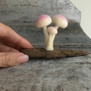 Needle felted pink mushrooms on driftwood