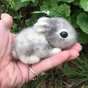 Needle felted baby bunny in gray and white wool