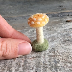 Tiny yellow amanita mushroom needle felted wool mushroom sculpture miniature toadstool