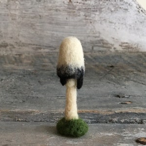 Tiny mushrooms needle felted wool mushroom sculpture miniature ink cap fungi art