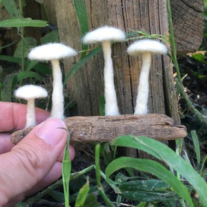Needle felted mushrooms on driftwood