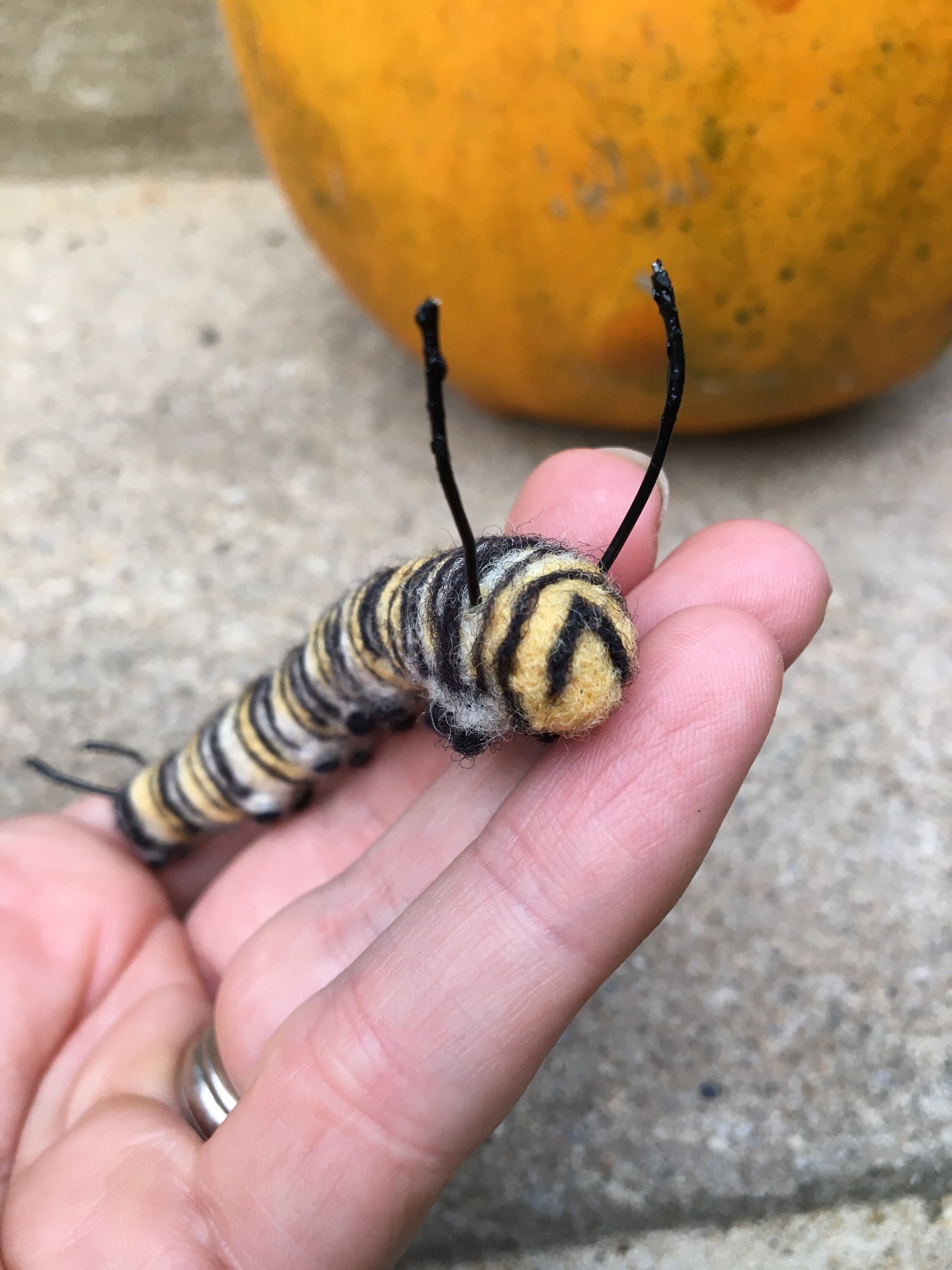 Needle Felted Monarch Butterfly Caterpillar Etsy
