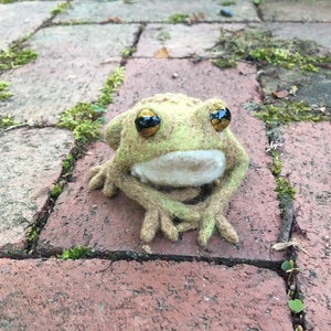 Needle felted toad handmade wool toad sculpture
