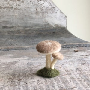 Tiny mushrooms needle felted wool mushroom sculpture miniature toadstool