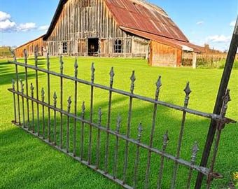 Wrought Iron Vintage Fence Panel (97x40) Architectural Salvage, Garden Art A25