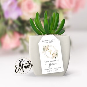 May include: A white ceramic planter with a succulent plant. A white tag with gold lettering reads "Faith plants the seed, love makes it grow." The tag also includes a floral design with a gold cross.