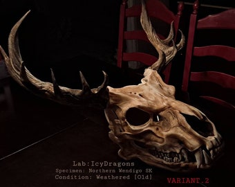 Northern Wendigo Skully Advanced Wearable Articulated Skull Beast Cosplay Animal Hybrid