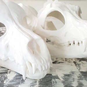 Defective* Skully Wolf & Fox Canine Skull Wearable Head Cosplay Fursuit Deco