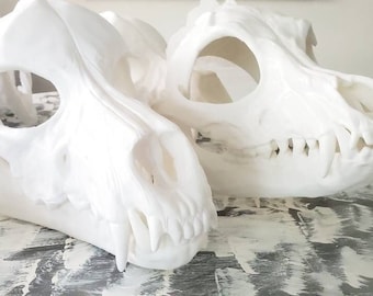 Defective* Skully Wolf & Fox Canine Skull Wearable Head Cosplay Fursuit Deco