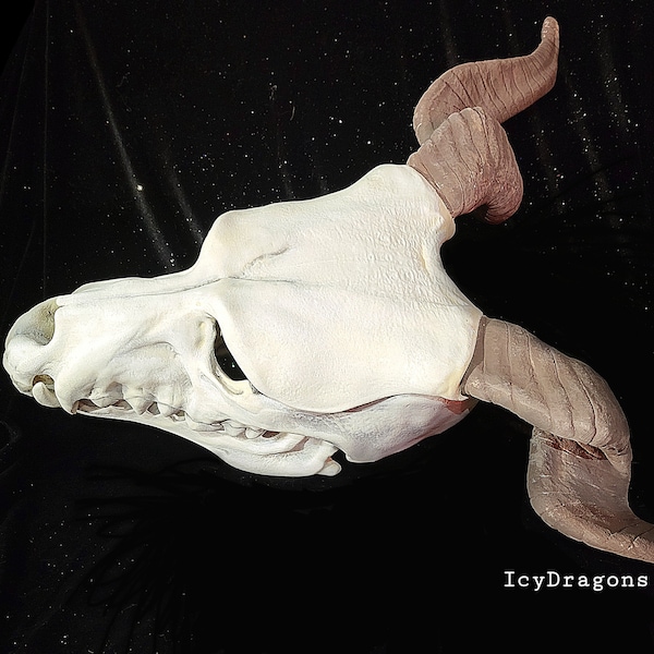 Wendigo Magus Skull Wolf Hybrid Horned Monster Fae Magical