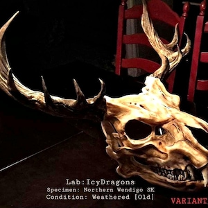 Northern Wendigo Skully Advanced Wearable Articulated Skull Beast Cosplay Animal Hybrid