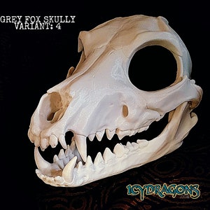 IcyDragons Grey Fox Skully V4 Wearable Detailed Canine Head 3D Printed Advanced Skull for Film, Fursuits and Cosplay