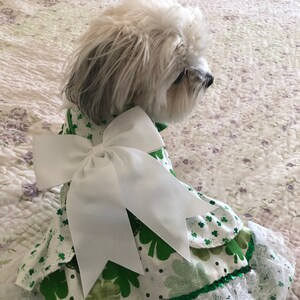 May include: A small white dog wearing a green and white dress with a large white bow. The dress has a green shamrock pattern and a white lace trim.