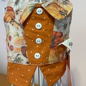 Fall Pumpkins Vest