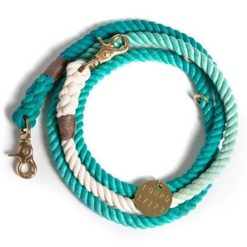 Teal Ombre Dog Rope Leash - Padded Handle Adjustable Leash