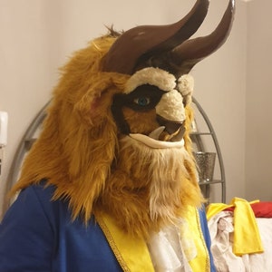 The Beast Costume from Beauty and the Beast