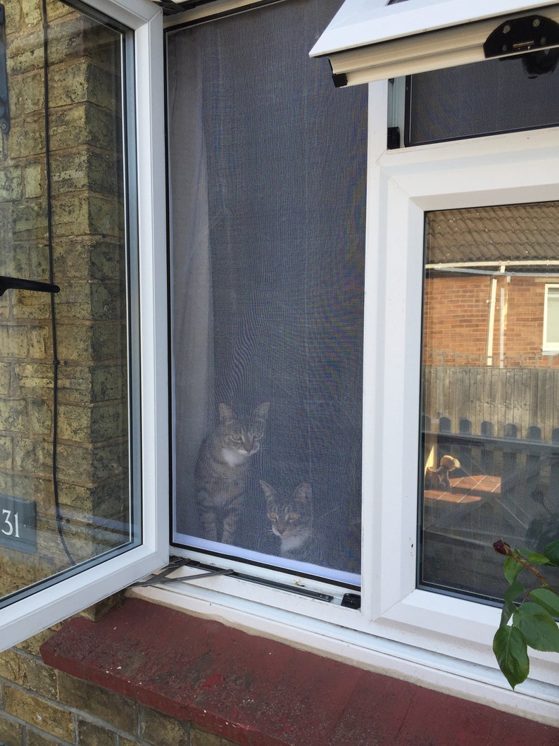 Custom Flat Cats Window Screens Mesh Window Protection for Etsy