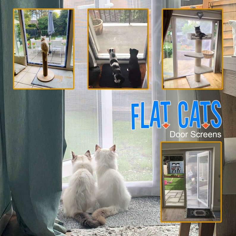 Custom Flat Cats Door Screens Mesh Window Protection for Etsy